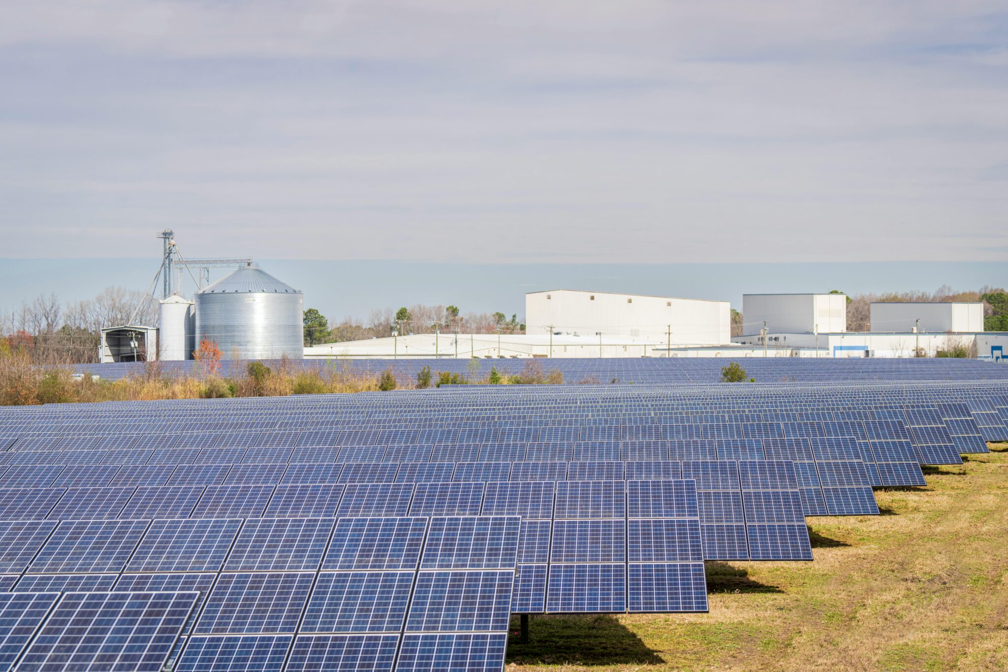 Imagen de un campo de paneles fotovoltaicos, instalados en masa para producir una gran cantidad de energia